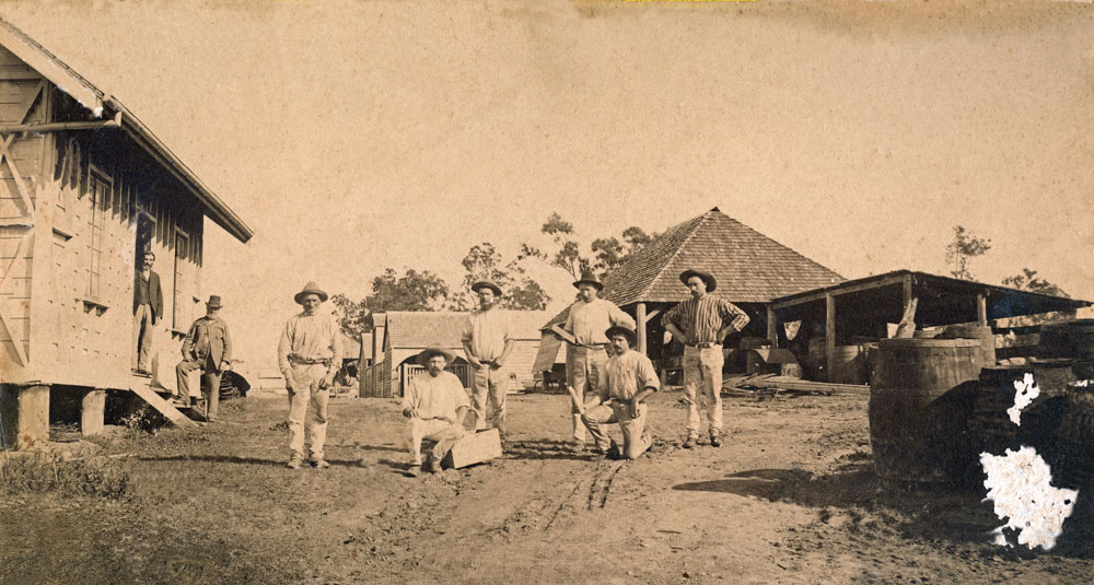 Staff at unidentified winery in the Churchill, One Mile area of Ipswich, 1890s