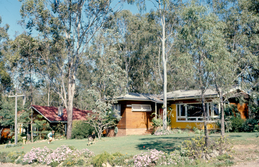 Homes in a bushland setting on the outskirts of Ipswich, 1969