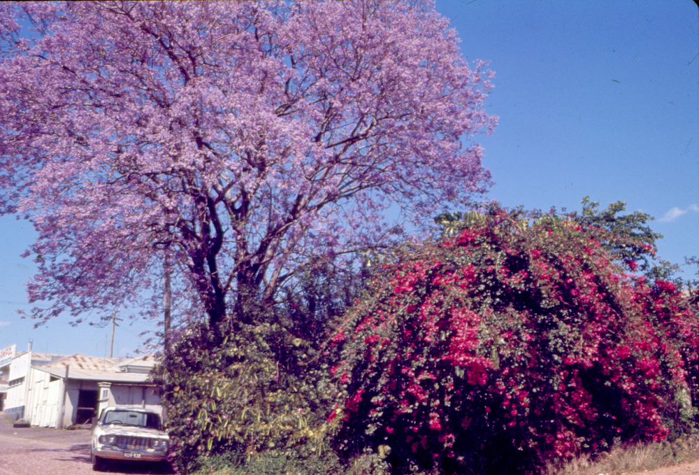 Looking towards Brisbane Street from Marsden Parade, Ipswich, 1970