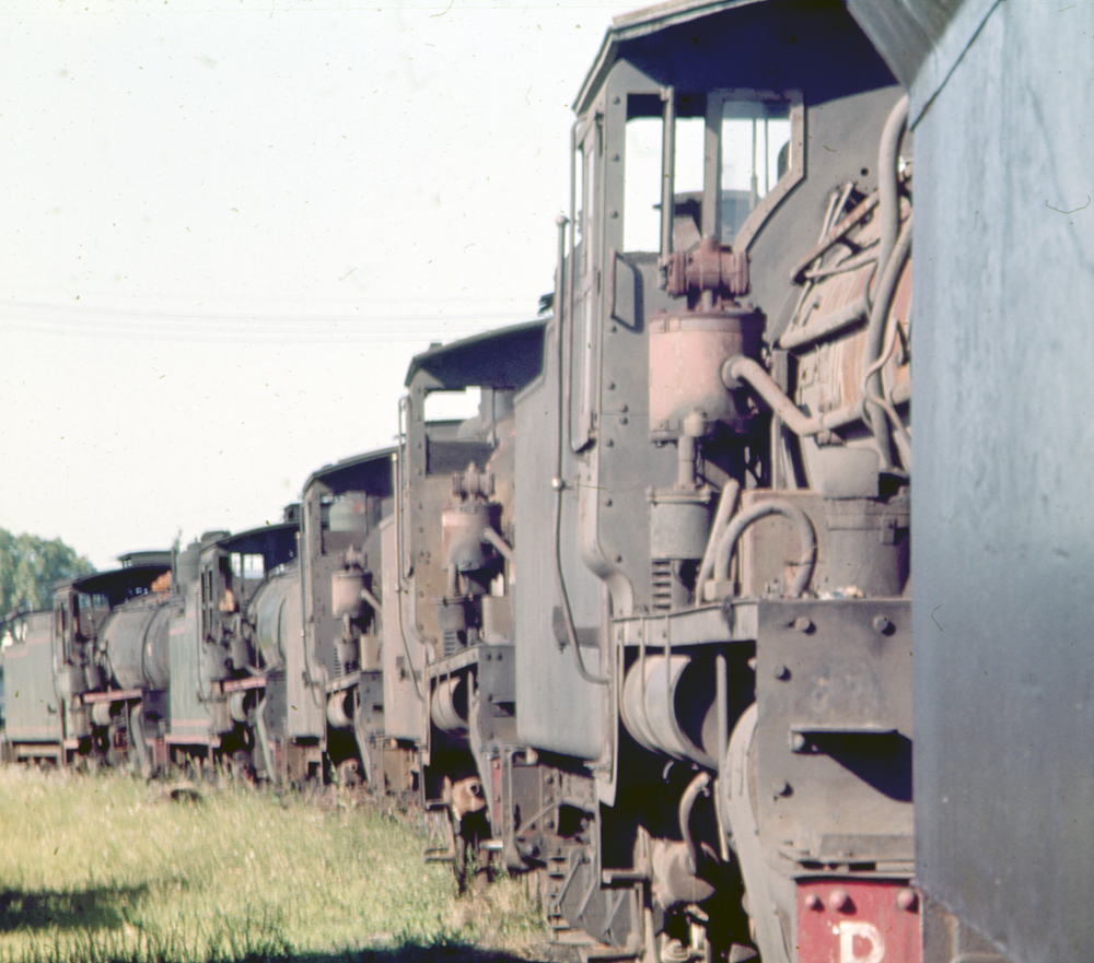 Old steam locomotives parked in north yard, Ipswich Railway Workshops, North Ipswich, 1969