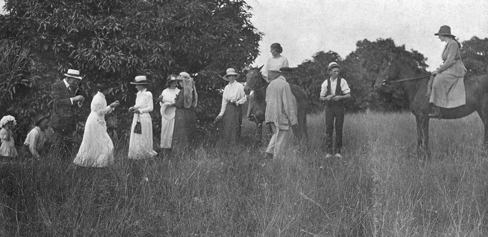 Group of people collecting mangoes in the orchard at  Oakleigh (house), Redbank Plains, Ipswich, c.1917