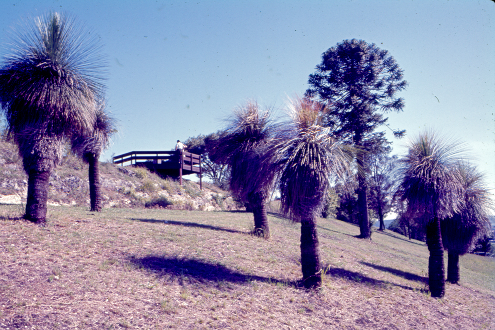 Lookout on Lime ridge at Queens Park, Ipswich, c.1970