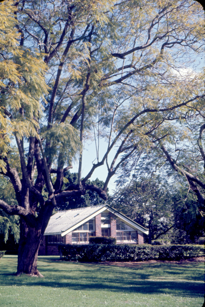 Greenhouse in Queens Park, Ipswich, c.1970
