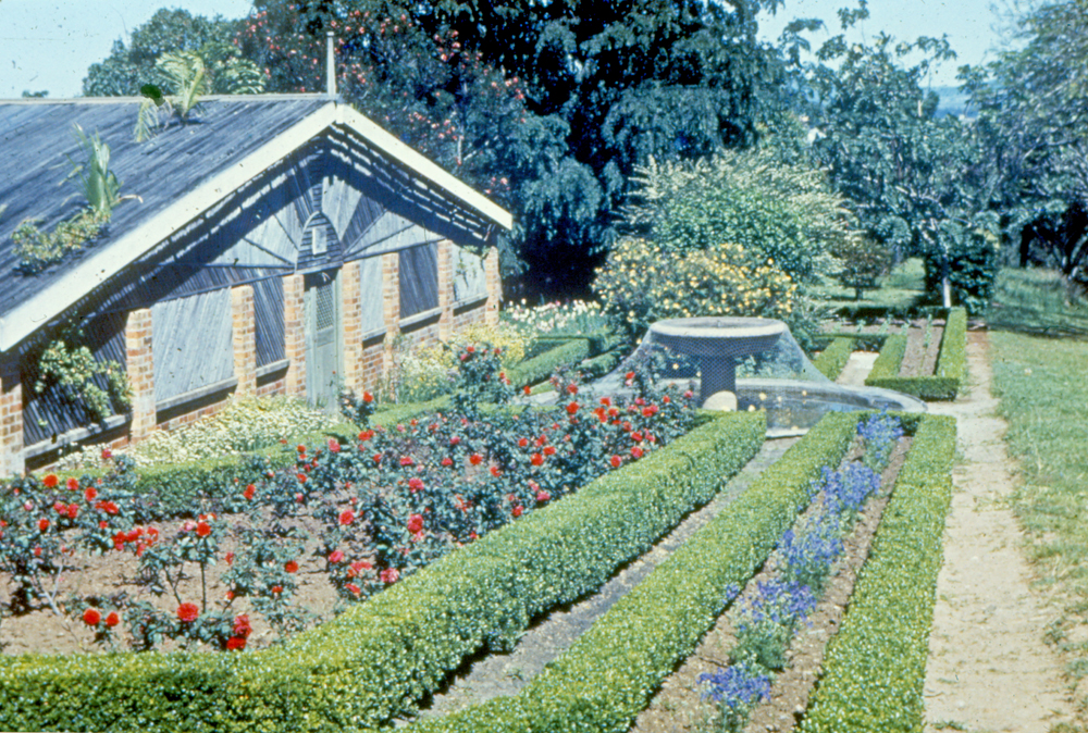 Greenhouse at Queens Park, Ipswich, 1969