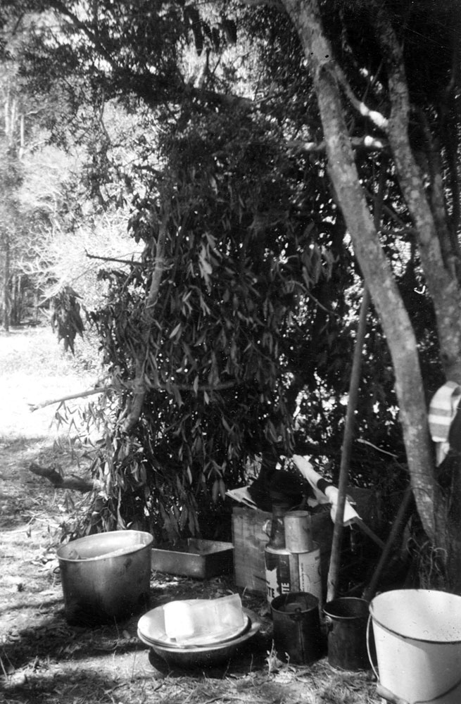 Bush shelter constructed by Ipswich Girl Guides Troop, Harding's Farm, Rosewood, Ipswich, 1956