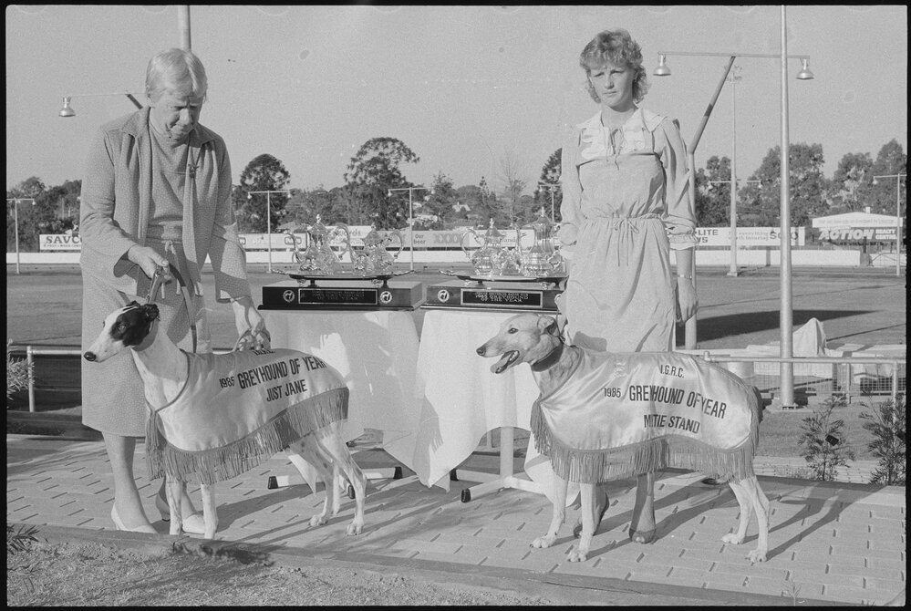 Two unidentified handlers with the two racing greyhounds of the year at Ipswich Greyhound Racing Club, Ipswich, July 1985