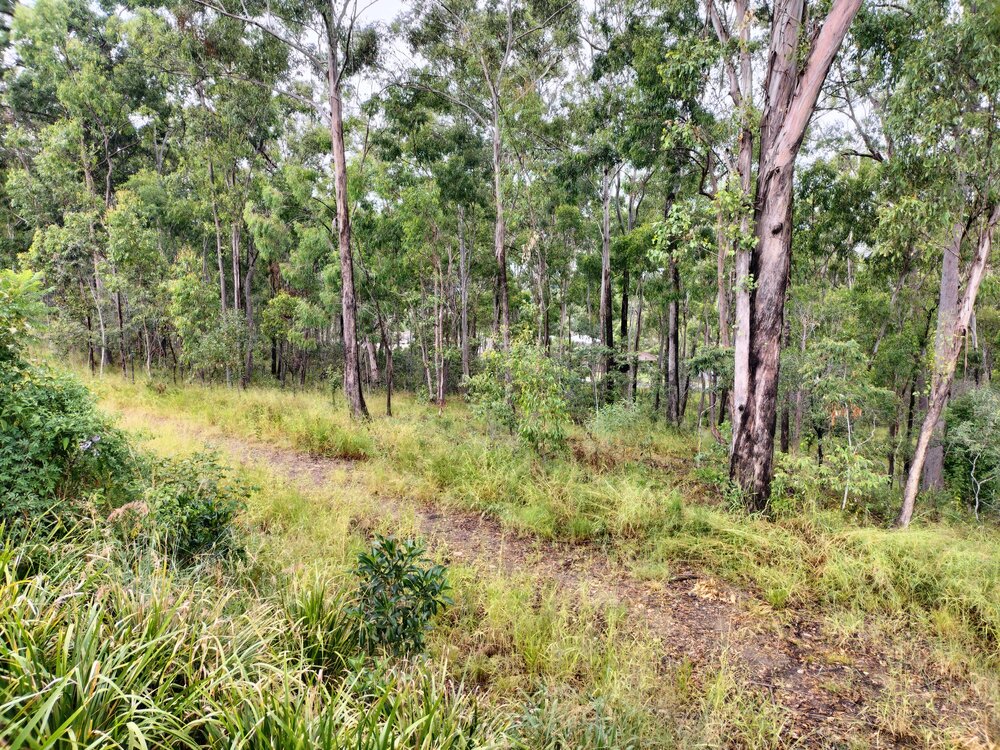 Redbank Plains Fossil Site, Lorikeet Lane, No 2, Augustine Heights, Ipswich, 2024