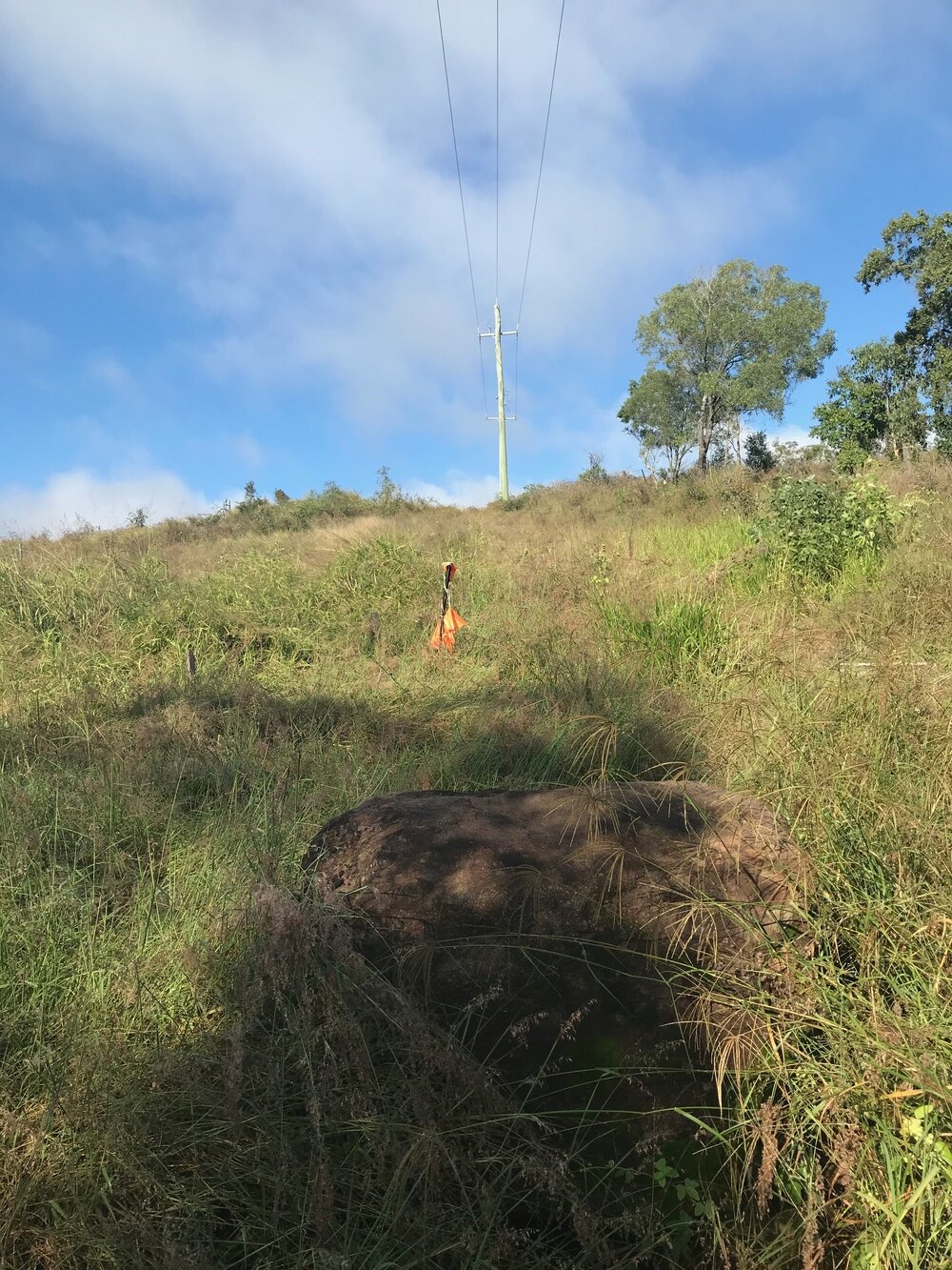Box Flat Memorial Plaque, Abrahams Road, South Ripley, 2021