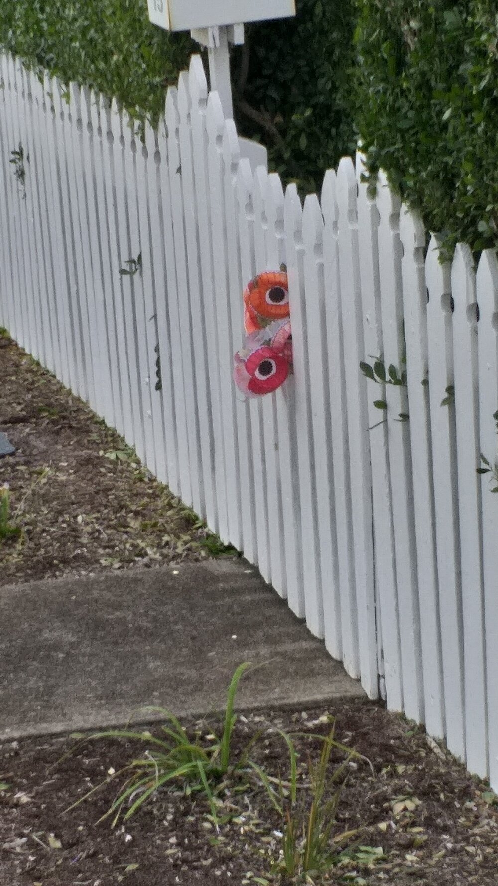 Anzac Day, Ipswich, 2020