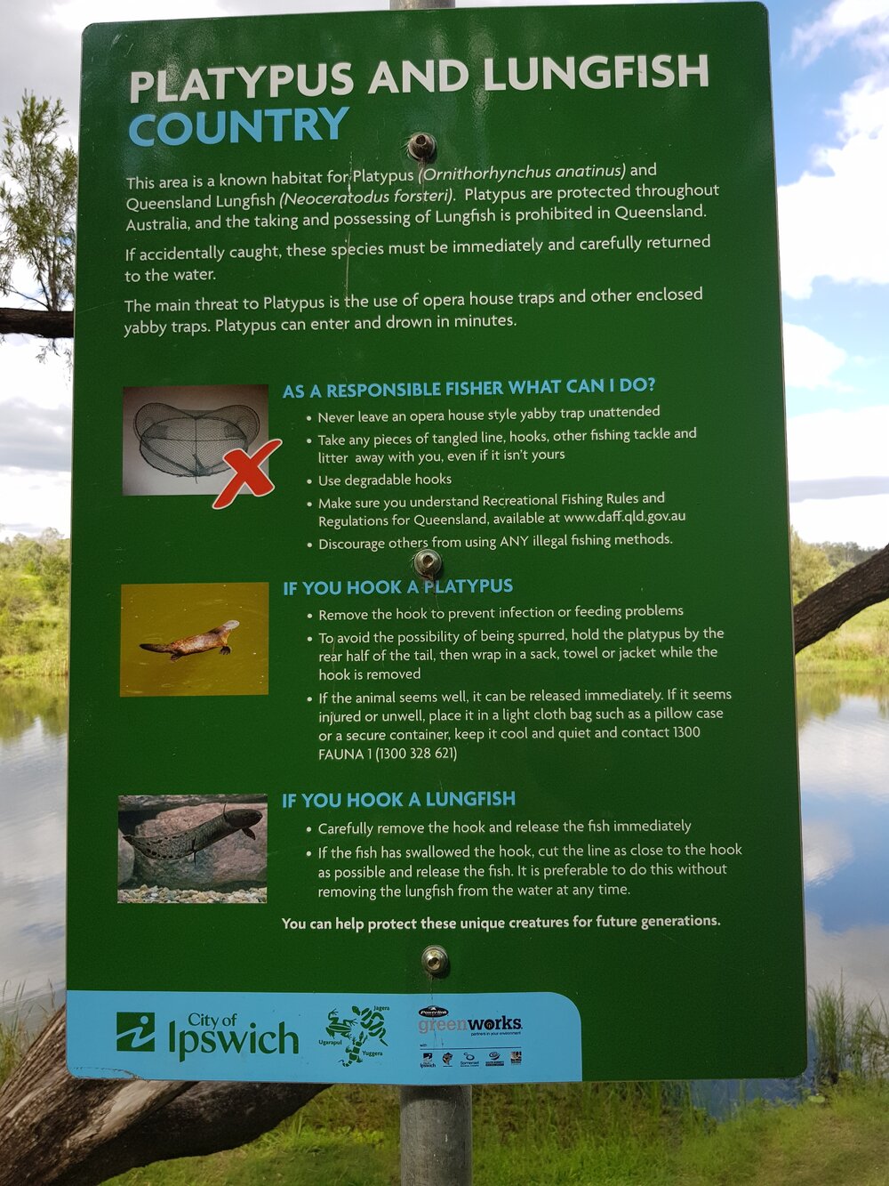 Kholo Gardens Platypus sign, 2019