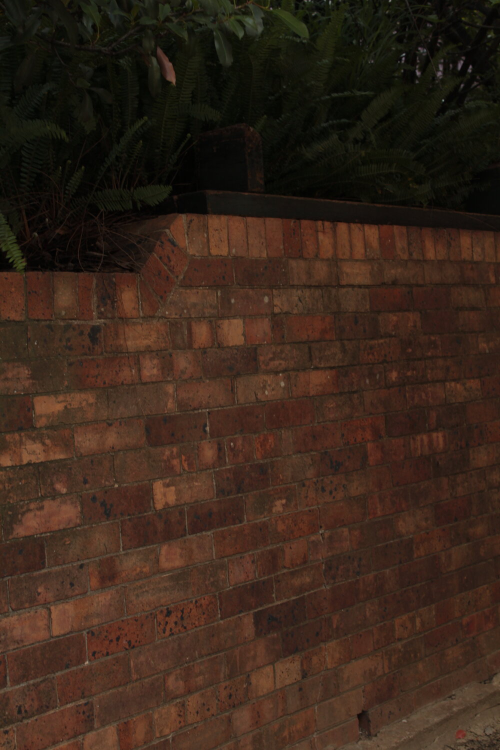 Congregational Sunday School, East Street, Ipswich, 2012