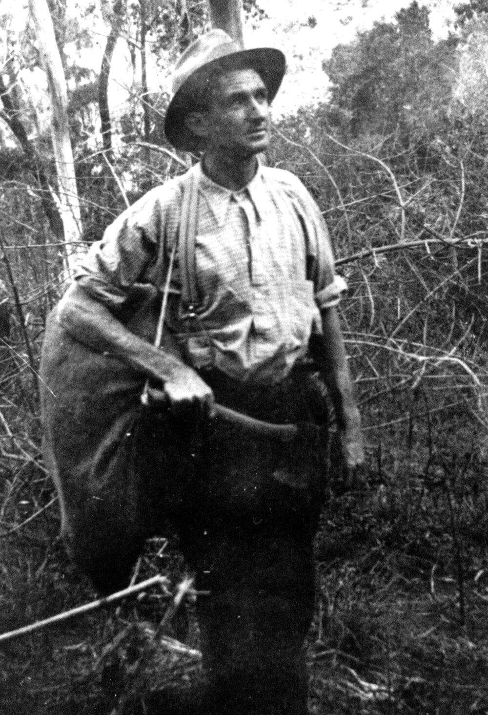 Thomas Wall, Parks Curator