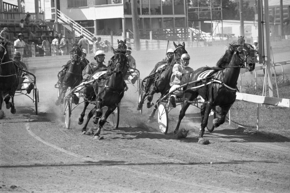 Harness racing at Ipswich Showgrounds, Ipswich, December 1977