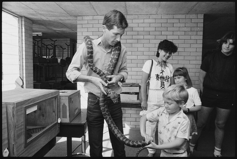 Snake Exhibit, Ipswich, August 1985