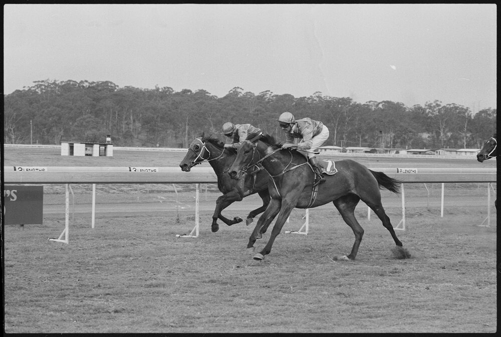 Horse Racing at Ipswich Amateur Turf Club, Bundamba, Ipswich, August 1985