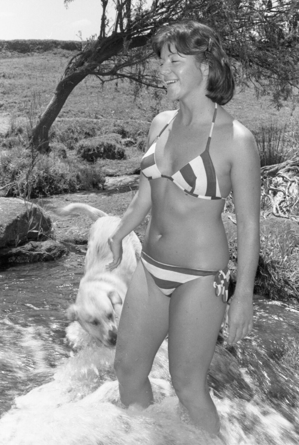 Thought to be Sandra Stephenson playing with dogs in creek, Ipswich, Queensland, January 1978