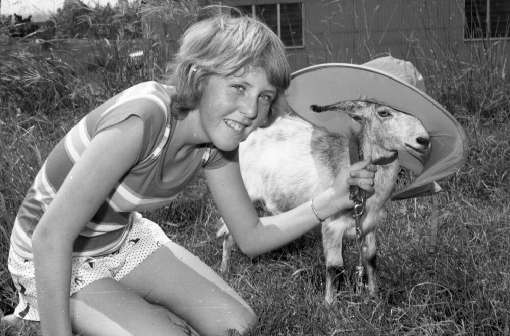 Girl putting a hat on a goat, Ipswich, December 1977