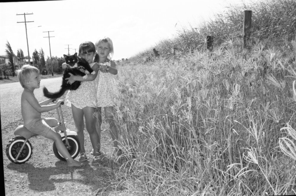 Children with cat, Videroni Street, Bundamba, Ipswich, Queensland, January 1978