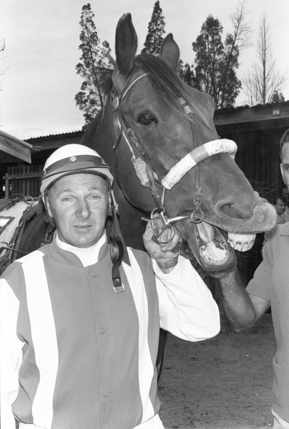 Jockey and his horse, Ipswich Turf Club, Bundamba, Ipswich, January 1978