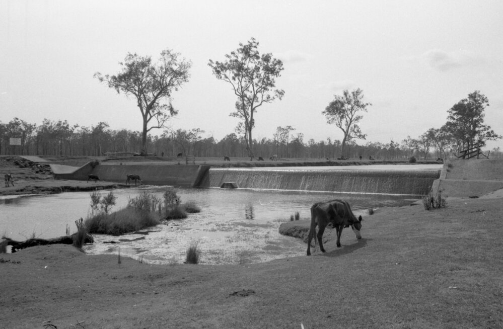 Thought to be Warrill Creek Weir, Peak Crossing, December 1977
