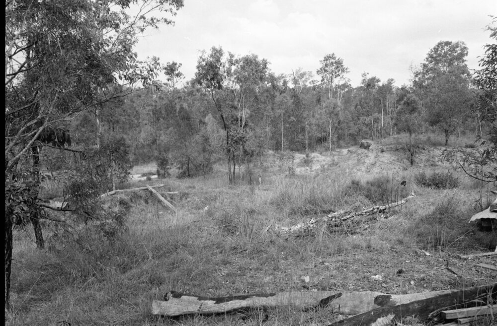 Bushland, Ipswich, Queensland, January 1978