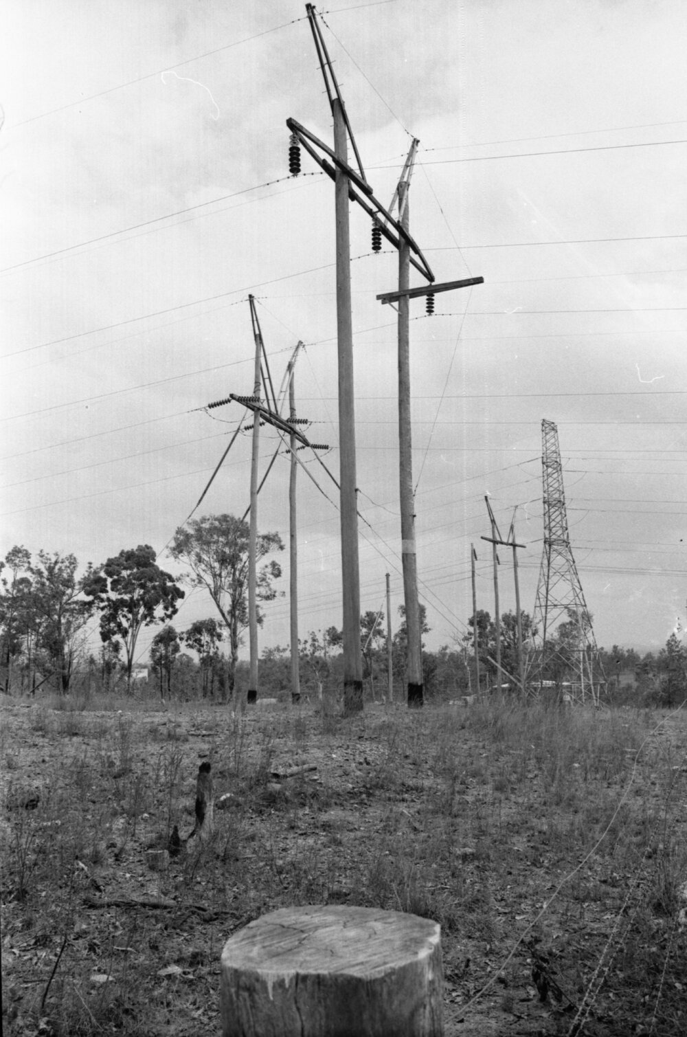 Transmission towers, Ipswich, Queensland, January 1978
