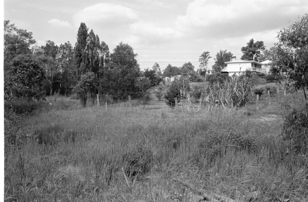 Houses and surrounding scrubland, Ipswich, Queensland, January 1978