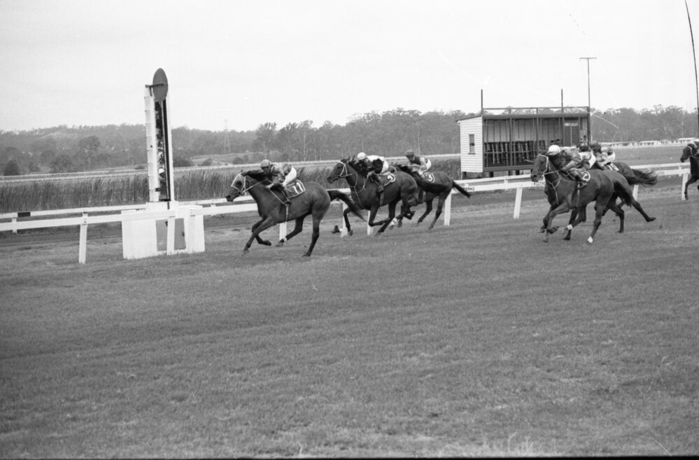 Horse race at Ipswich Turf Club, Bundamba, Ipswich, Queensland, January 1978