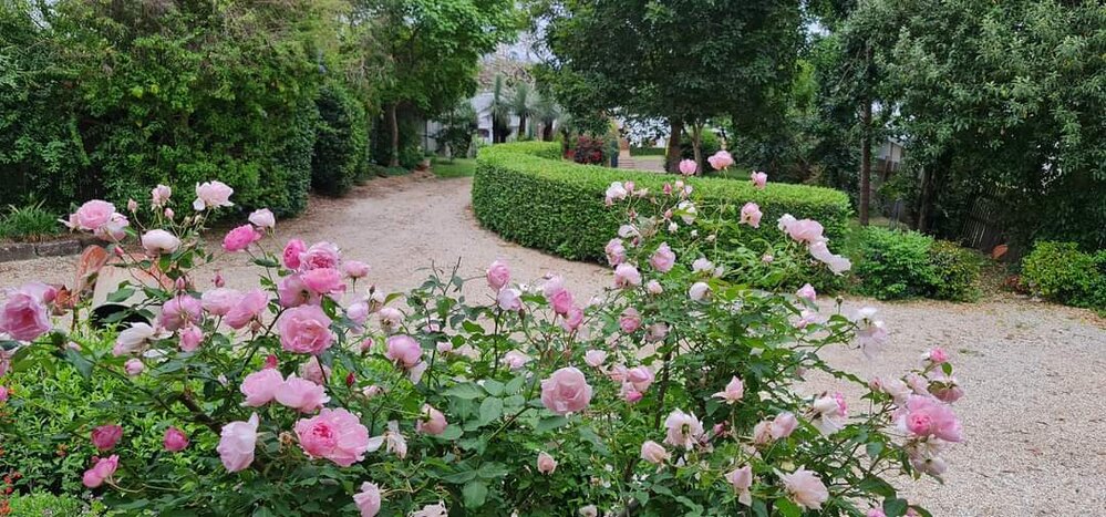 Karragaroo Garden, 2022