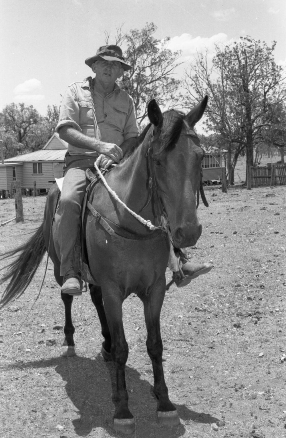 Man on horseback, Ipswich, December 1977