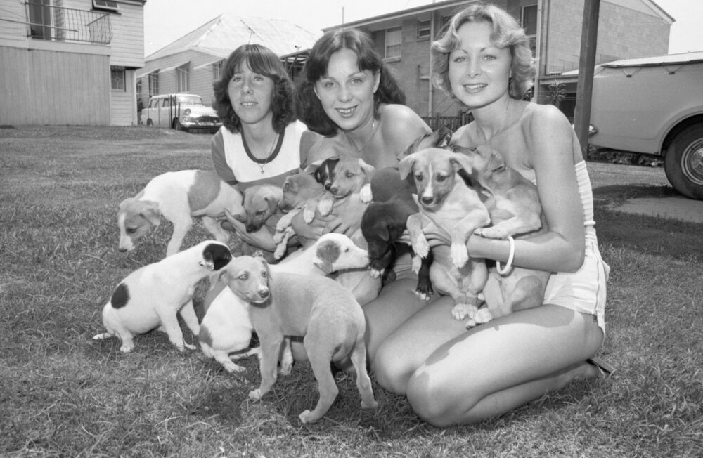 Women holding puppies, Ipswich, December 1977