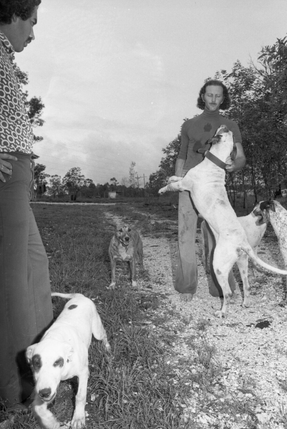 Man with dogs outside a residence, Ipswich, February 1978