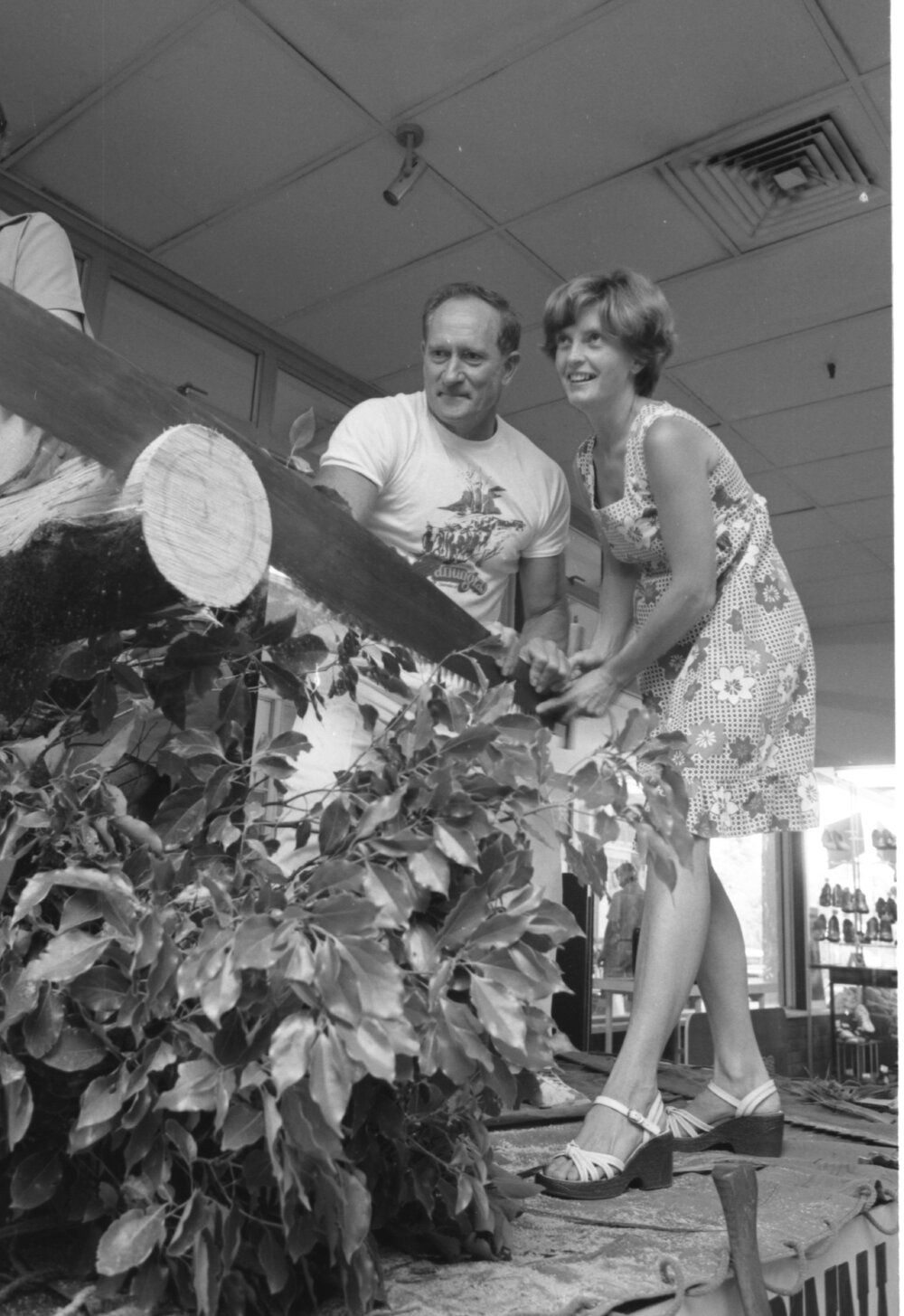 Unidentified man in Canungra shirt demonstrates long saw with audience member at Booval Fair, Booval, Ipswich, February 1978