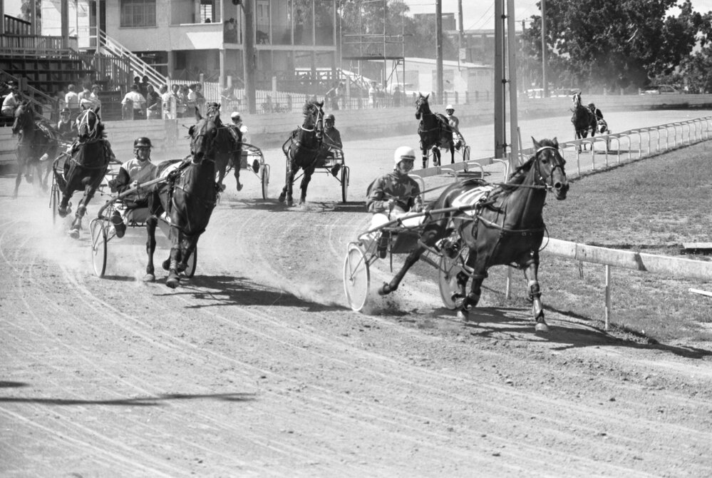 Harness racing at the Ipswich Showgrounds, Ipswich, Queensland, February 1978