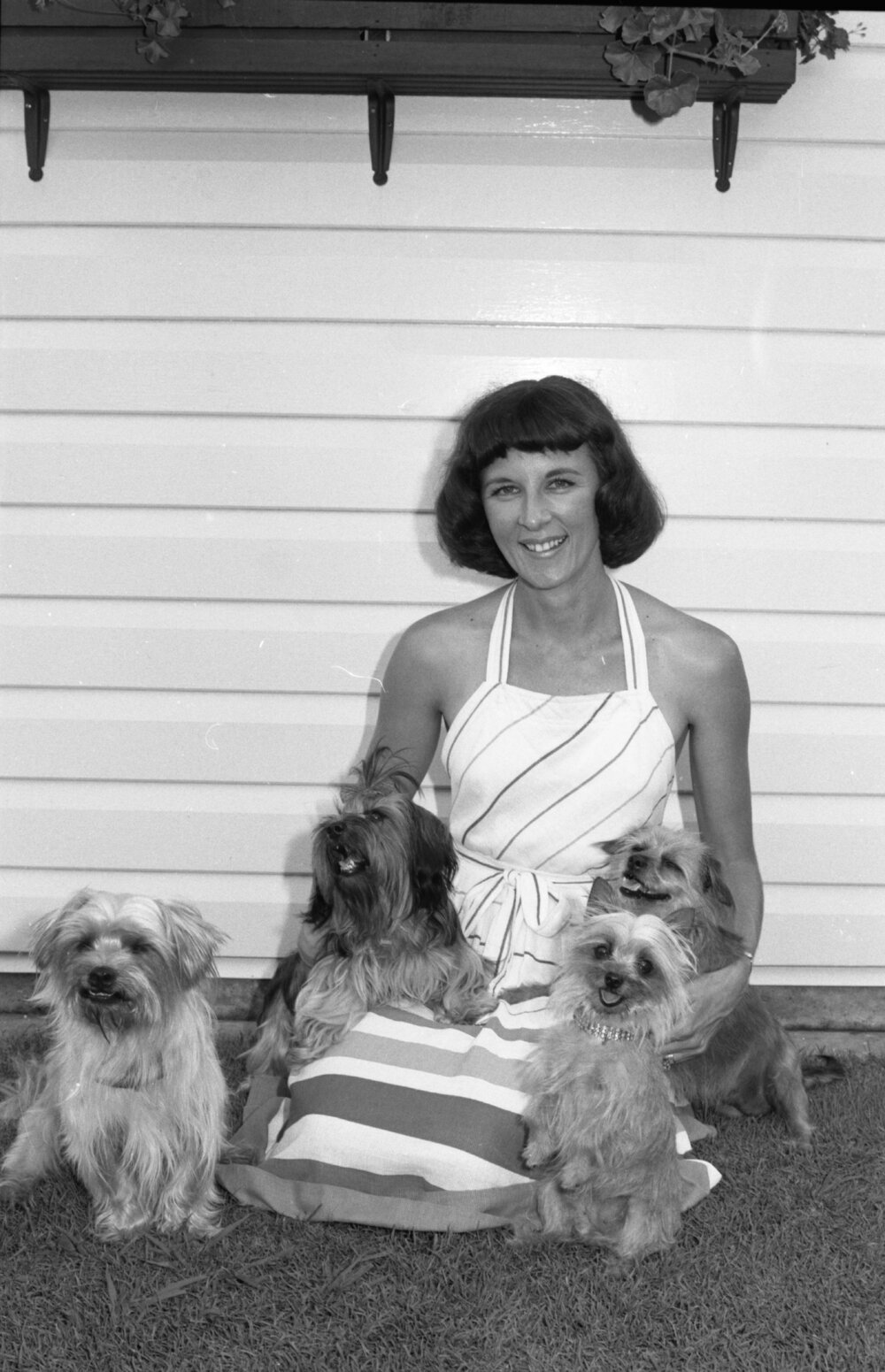 Sandra with her dogs, Ipswich, February 1978