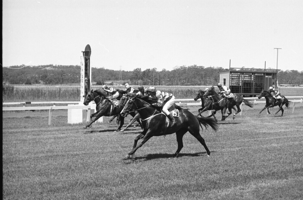 Horse racing at Ipswich Turf Club, Bundamba, Ipswich, February 1978