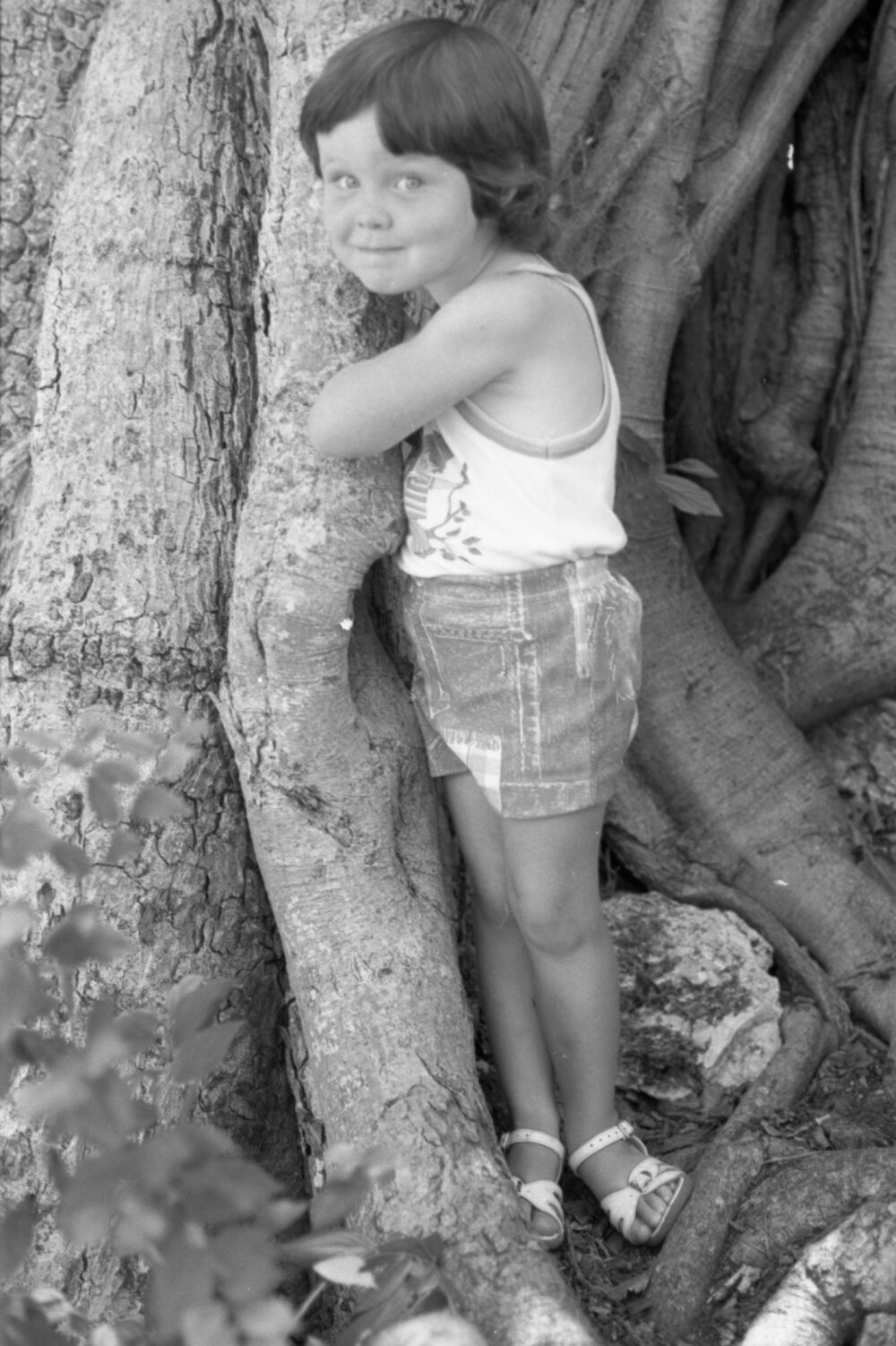 Unidentified child standing at the base of a large Moreton Bay fig tree in Queens Park, Ipswich, February 1978