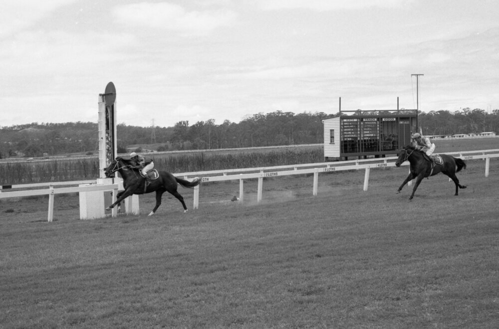 Horse race at Ipswich Turf Club, Bundamba, Ipswich, February 1978