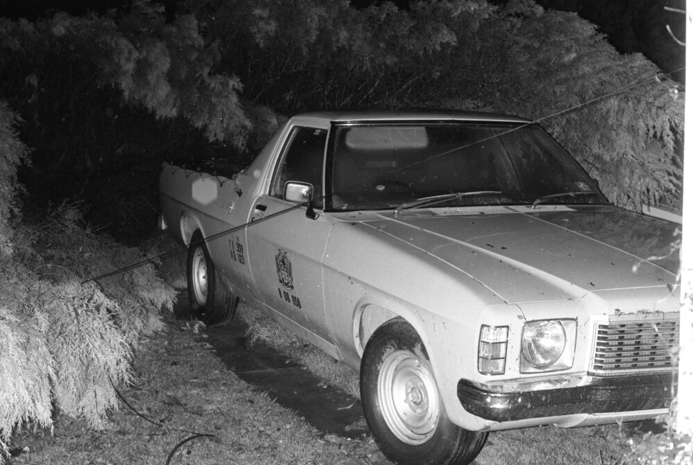 Fallen tree during storm, Ipswich, November 1977
