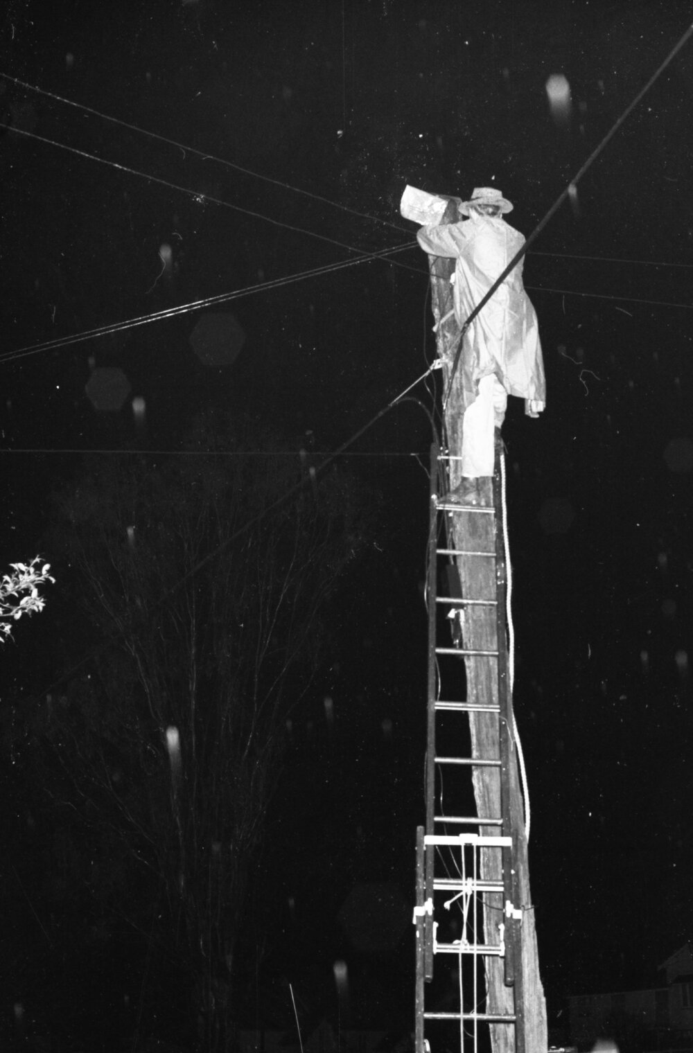 Fixing power lines after a storm, Ipswich, November 1977