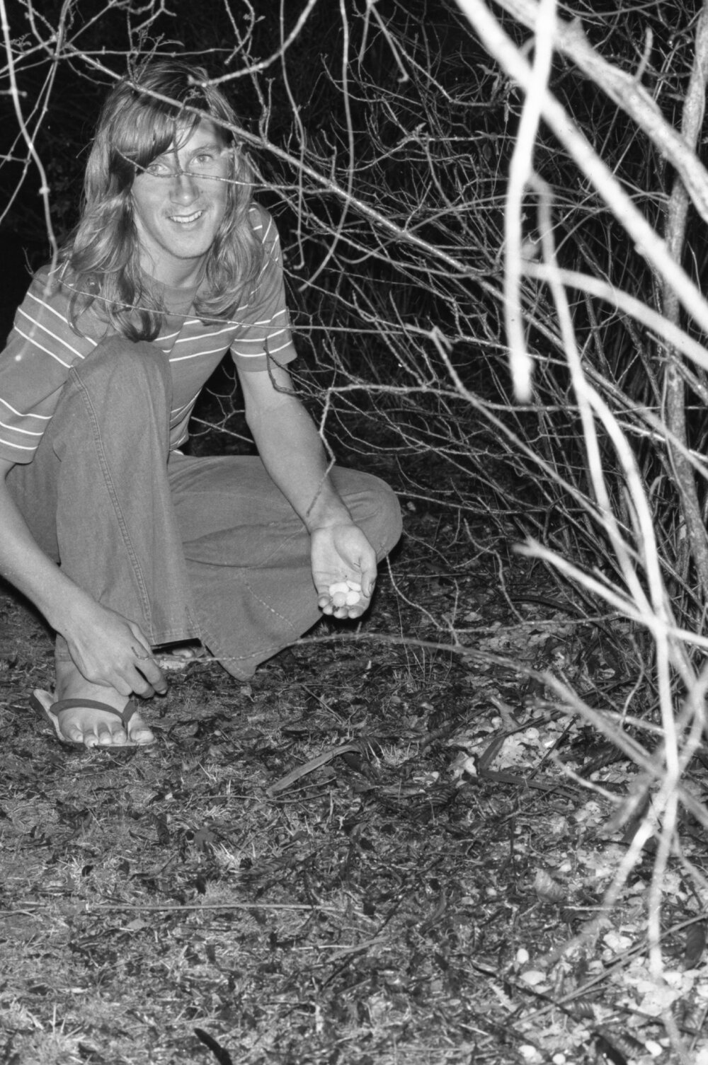 Hailstones after a storm, Ipswich, November 1977