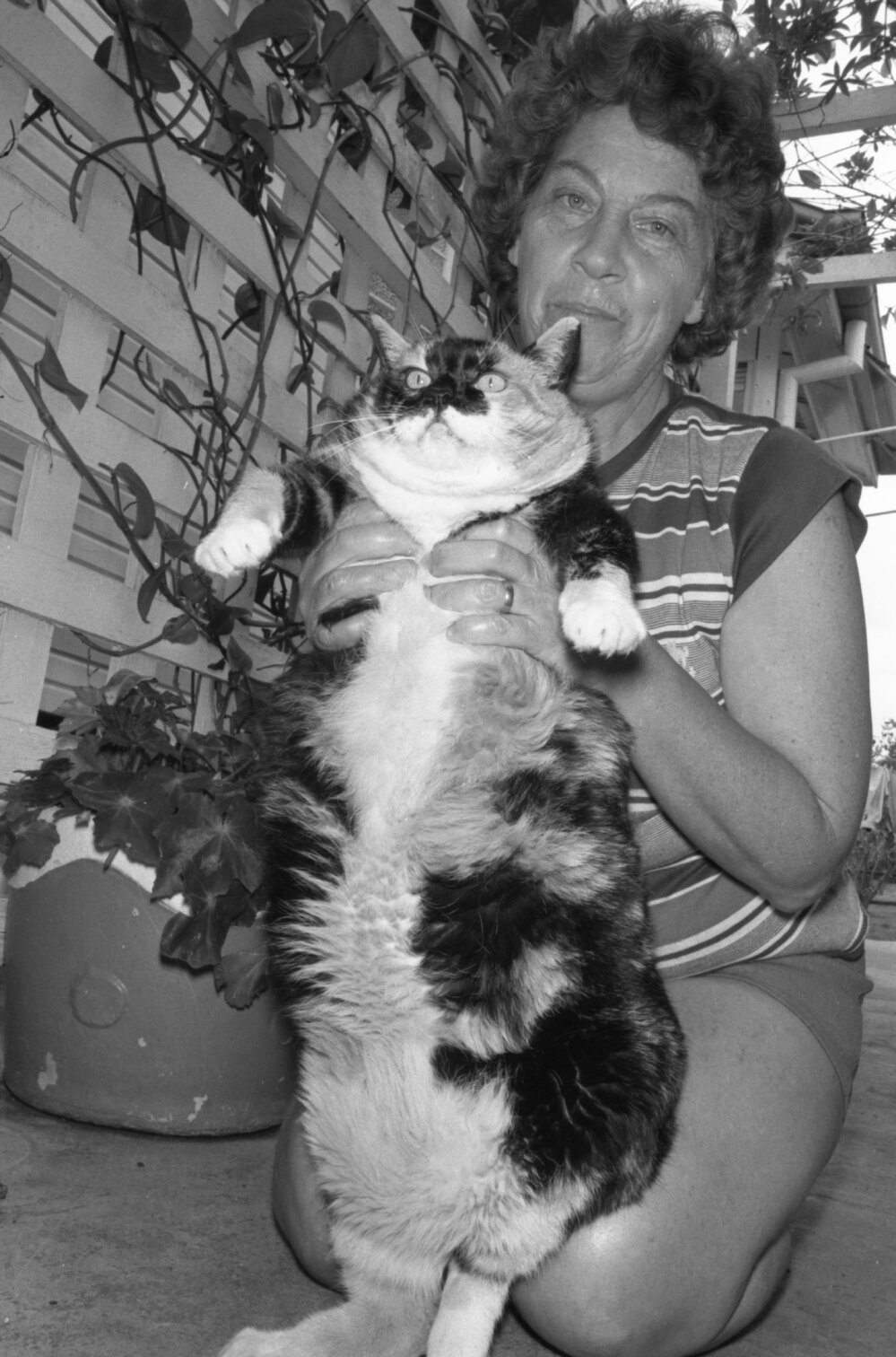 Unidentified woman with her fat cat, Ipswich, November 1977