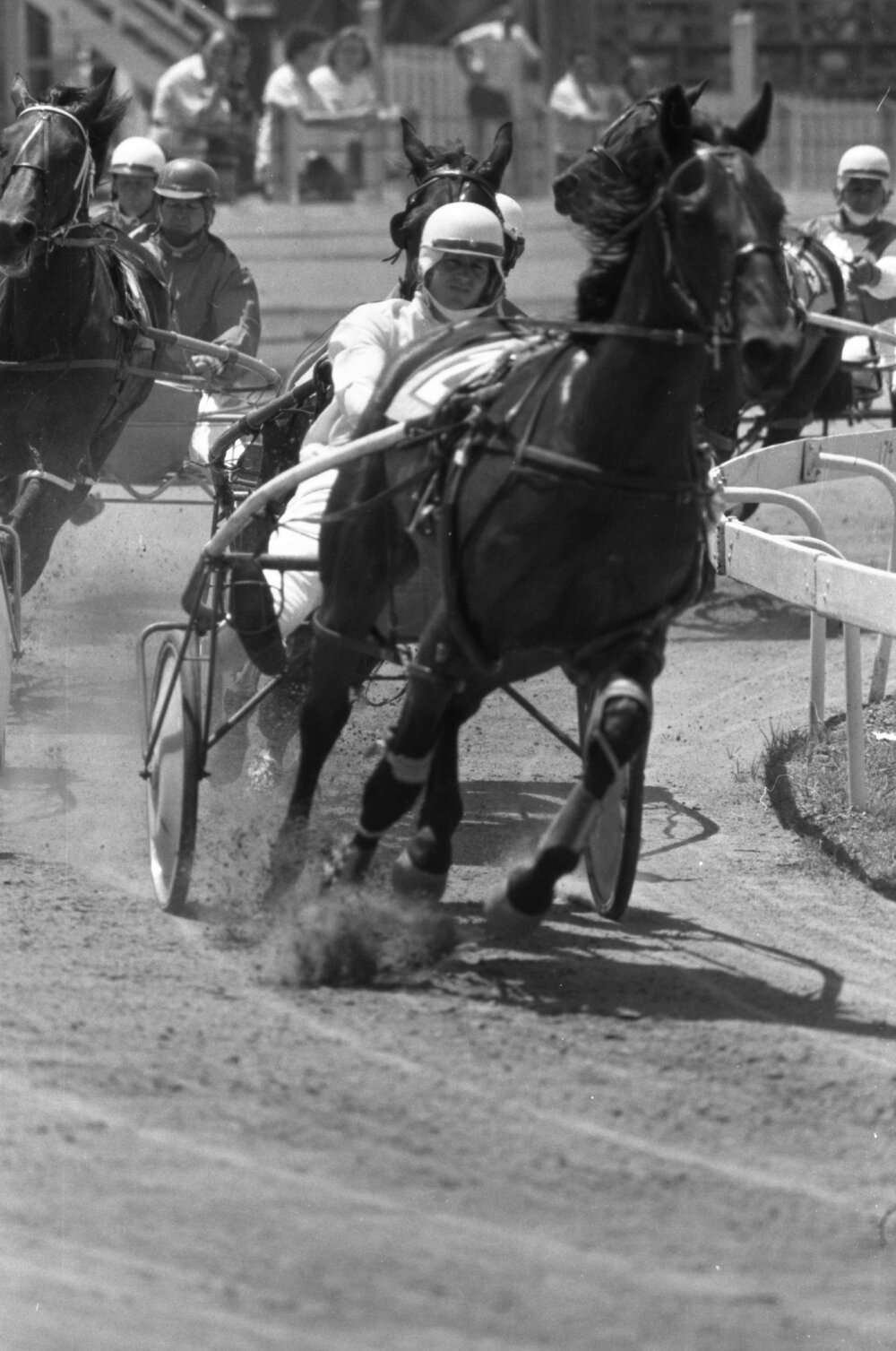 Harness racing at Ipswich Showgrounds, Ipswich, November 1977