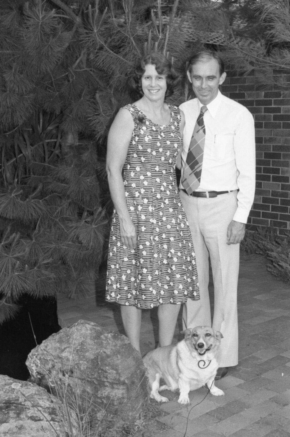 Llew Edwards of the Liberal Party of Australia, Ipswich, November 1977