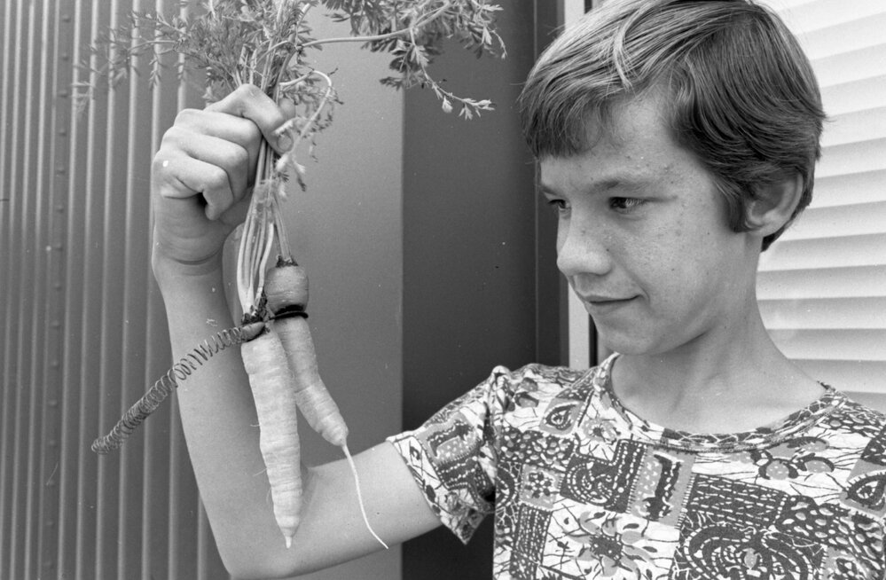Boy grows strange carrots, Ipswich, November 1977