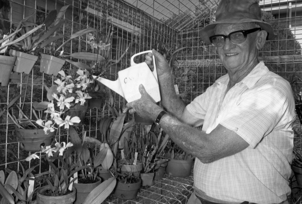Unidentified man, member of the Bucket Brigade, watering plants with a small watering can, Ipswich, 13th February 1978