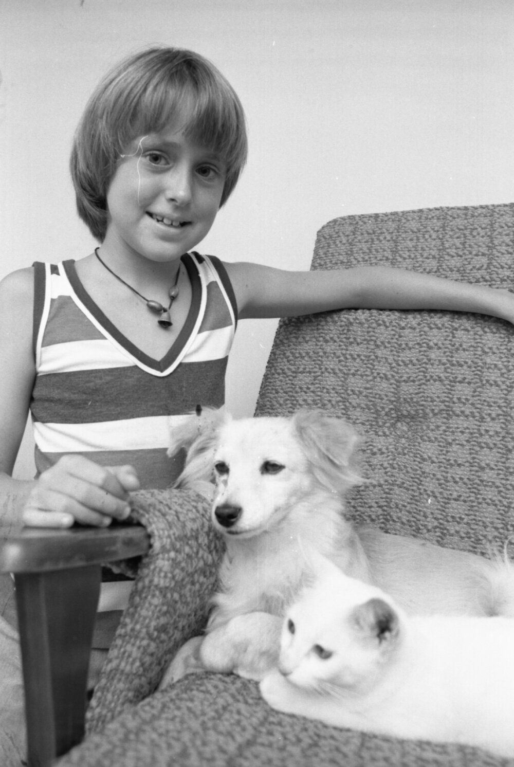 Unidentified child with pet dog and cat, Ipswich, February 1978