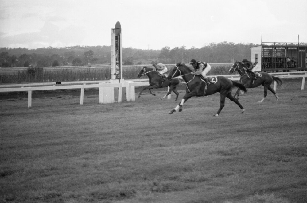 Horse race at Ipswich Turf Club, Bundamba, Ipswich, February 1978