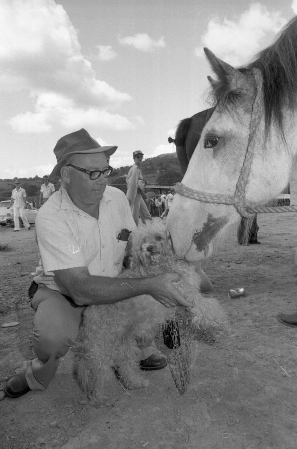 Man introducing dog to an inquisitive Clydesdale horse at an unidentified horse event, Ipswich, February 1978
