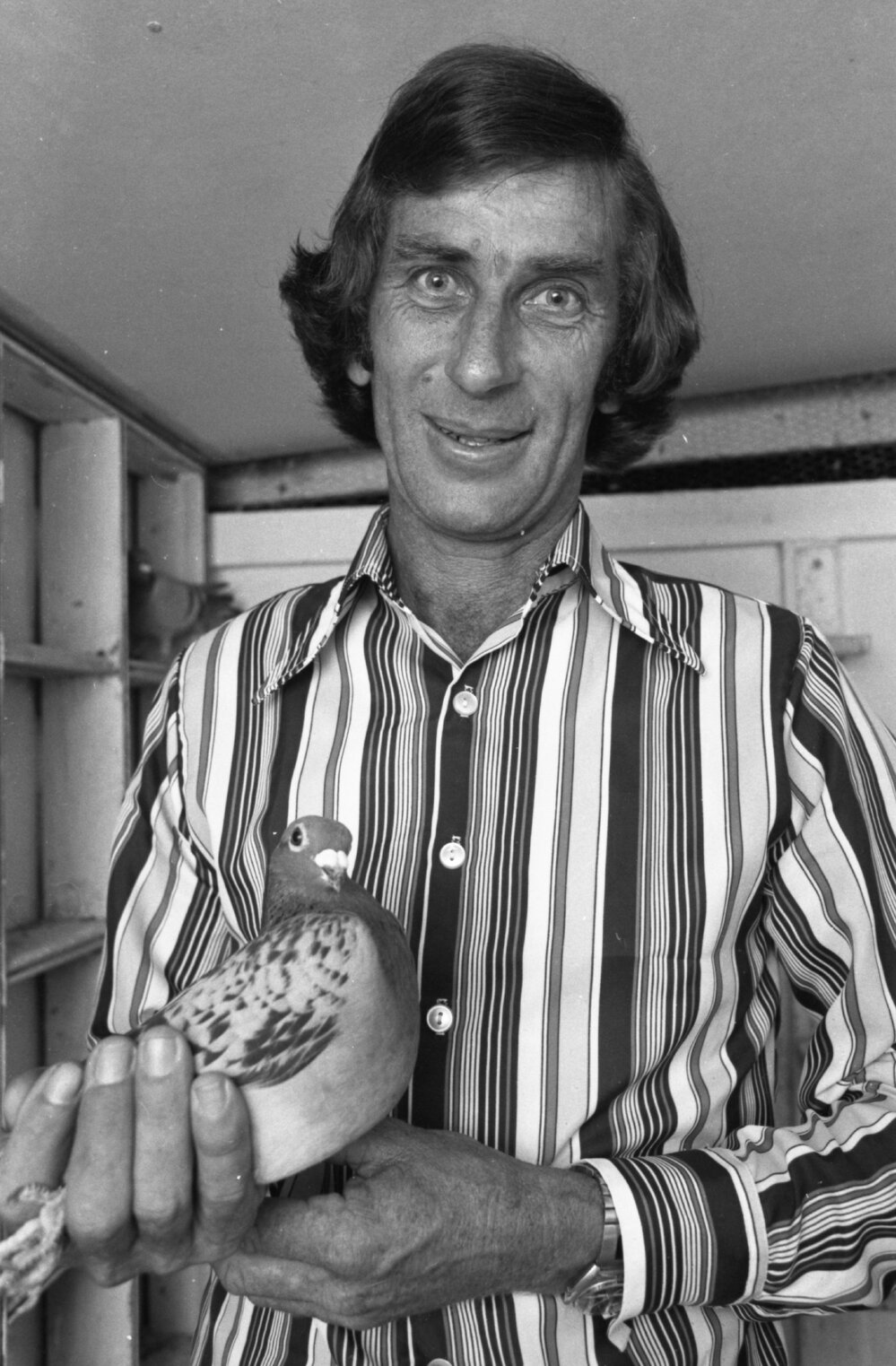 Pigeon fancier, Ipswich, 2nd October 1977